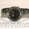 IWC Ocean Bund