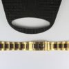 Goldband Submariner