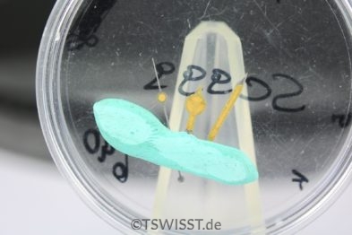 Rolex 5513 hands