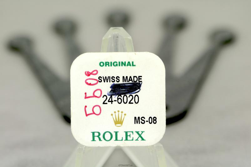 Rolex 24-6020 tube