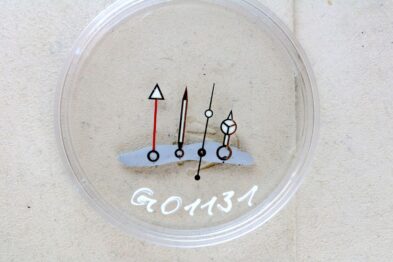 G01131