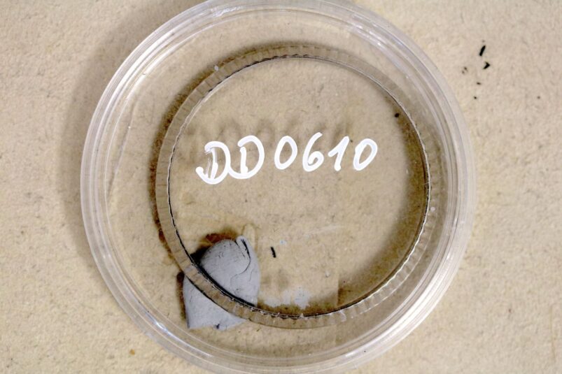 DD0610